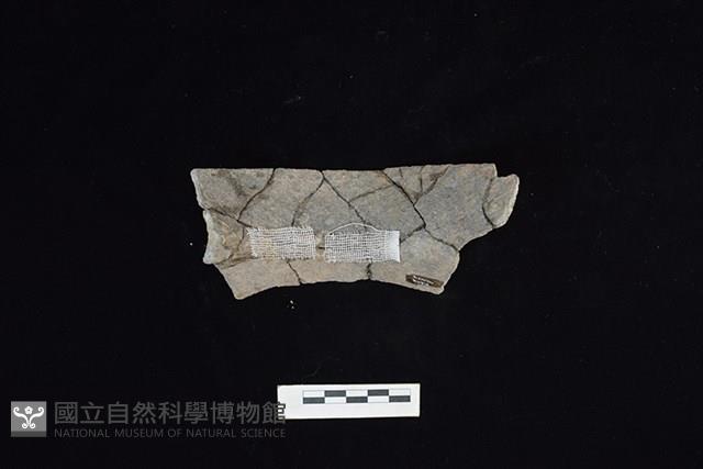 陶罐藏品圖，第2張