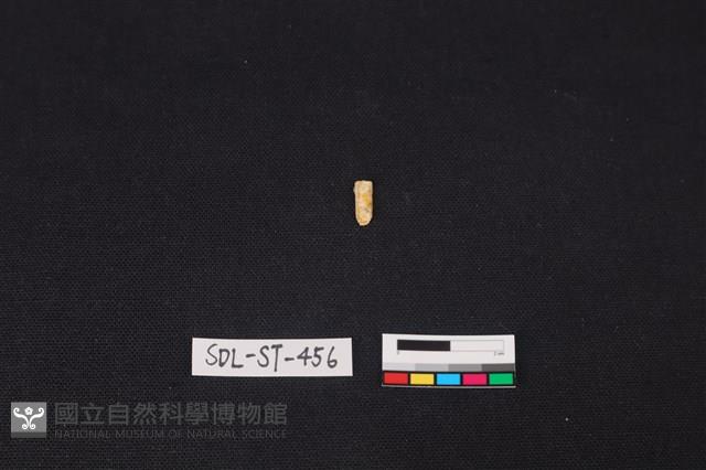 玉飾藏品圖，第2張