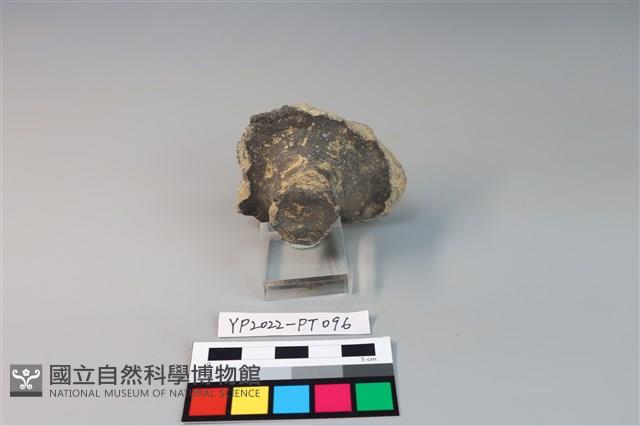 碗/淺盤型陶蓋藏品圖，第2張