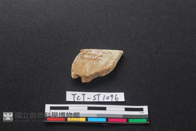 石刀藏品圖，第2張