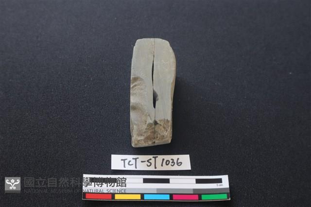錛鑿形器藏品圖，第2張
