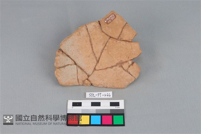 陶片藏品圖，第2張