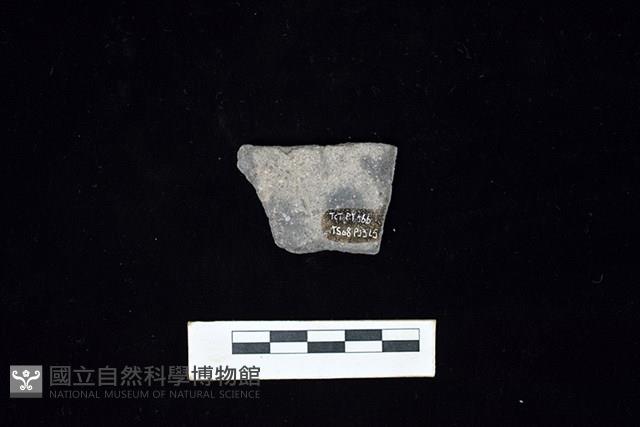 陶片藏品圖，第2張