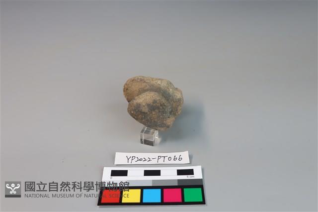 碗/淺盤型陶蓋藏品圖，第2張