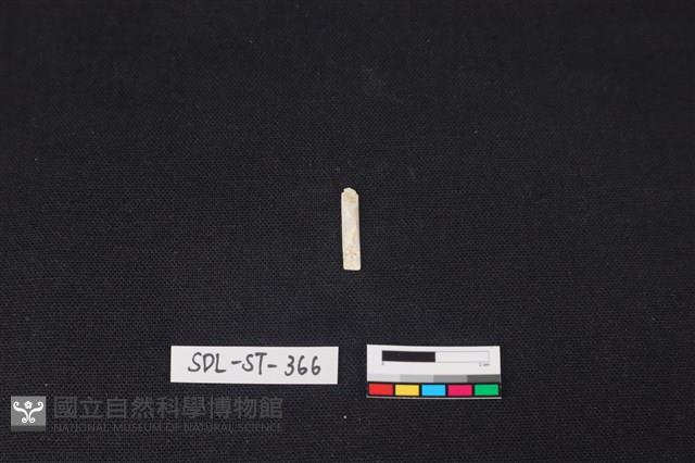 玉飾藏品圖，第2張