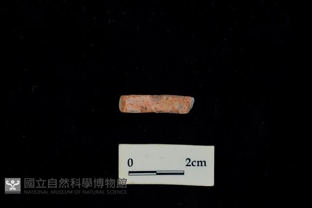 陶環藏品圖，第2張