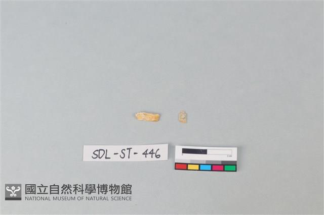 玉飾藏品圖，第2張