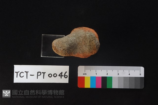 陶蓋鈕藏品圖，第2張