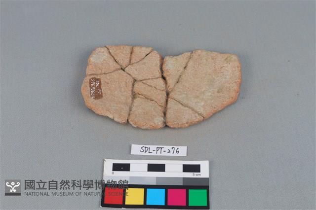 陶片藏品圖，第2張