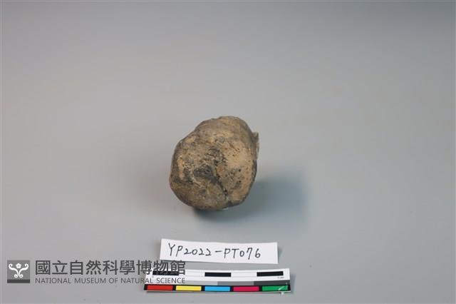 陶鈕藏品圖，第2張