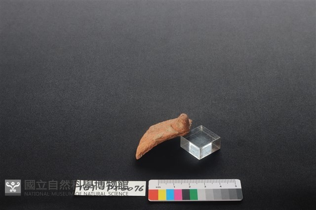 陶鈕藏品圖，第2張