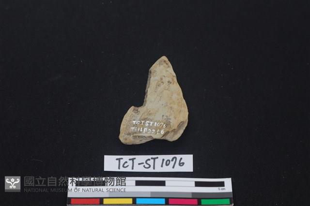 矛鏃形器藏品圖，第2張