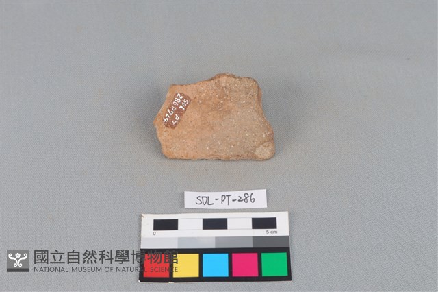 陶片藏品圖，第2張