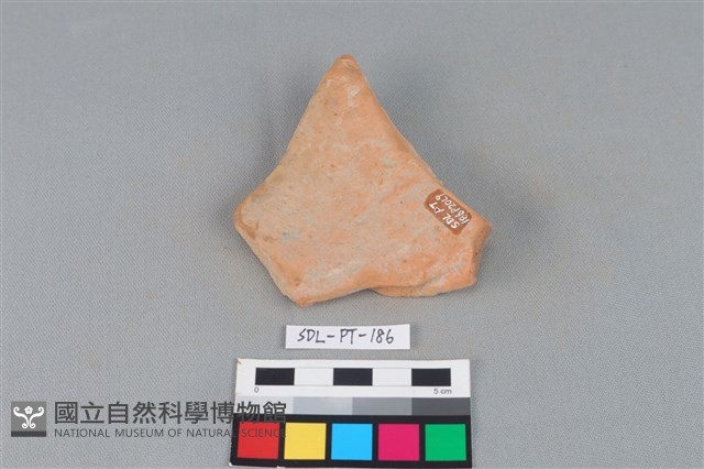 陶片藏品圖，第2張