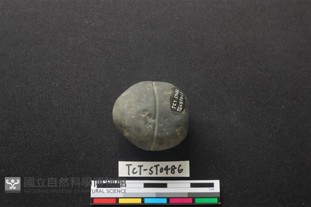 網墜藏品圖，第2張