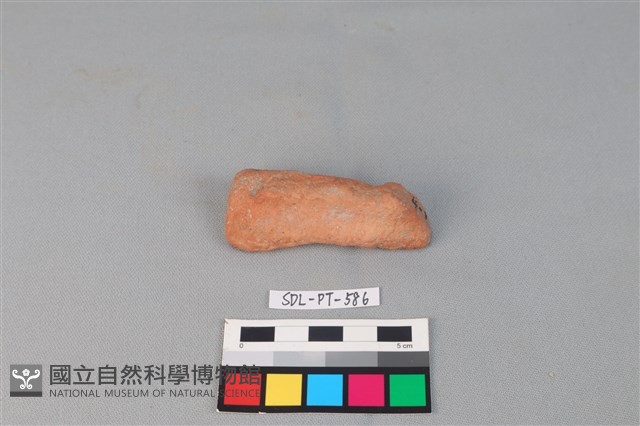 陶網墜藏品圖，第2張