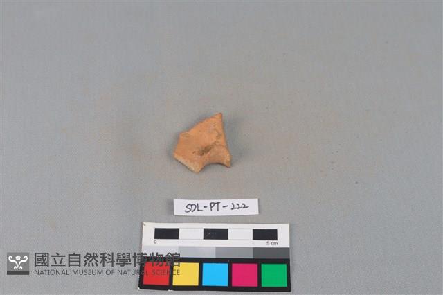 陶片藏品圖，第2張