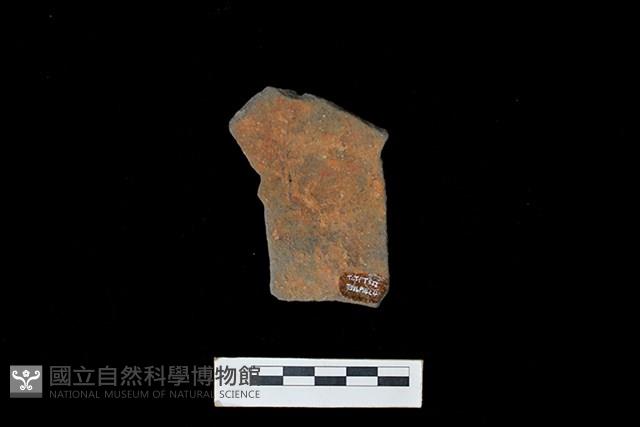 陶片藏品圖，第2張