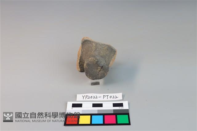 碗/淺盤型陶蓋藏品圖，第2張