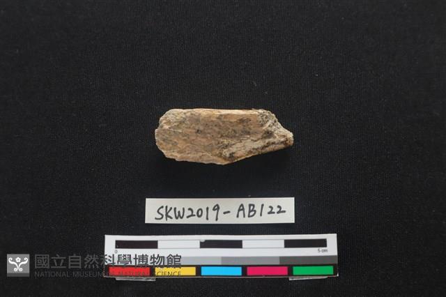 獸骨藏品圖，第2張