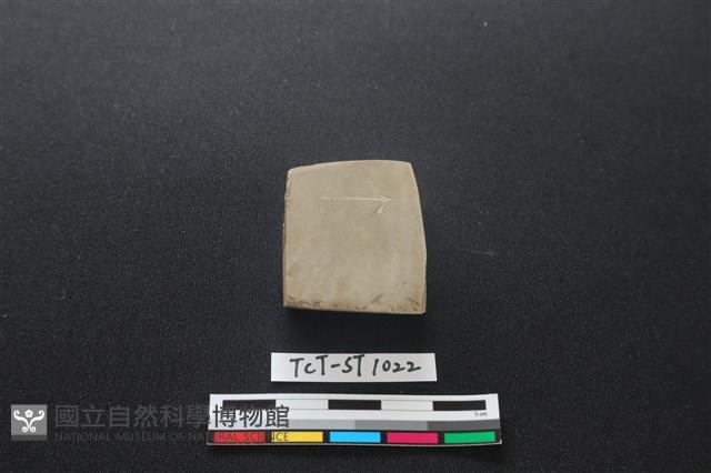 錛鑿形器藏品圖，第2張