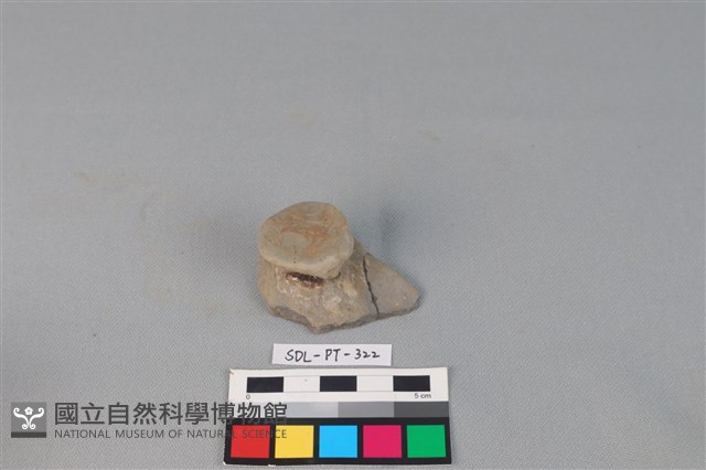 陶蓋藏品圖，第2張