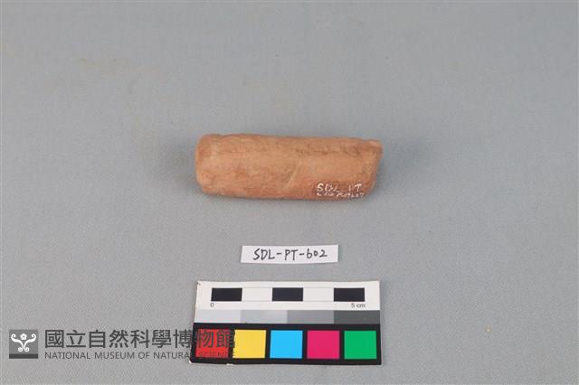 陶網墜藏品圖，第2張