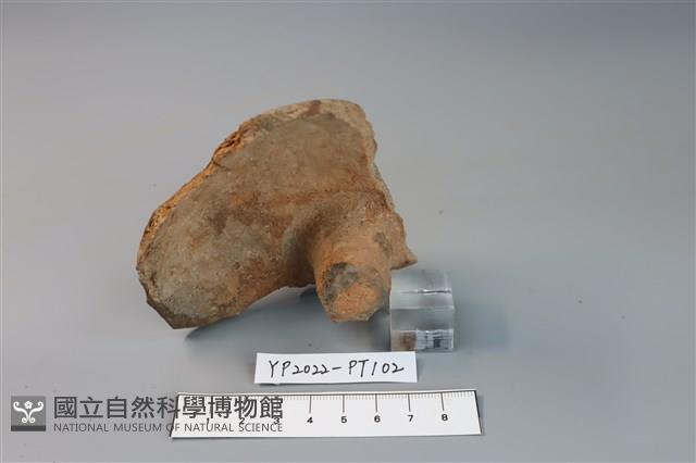 碗/淺盤型陶蓋藏品圖，第2張