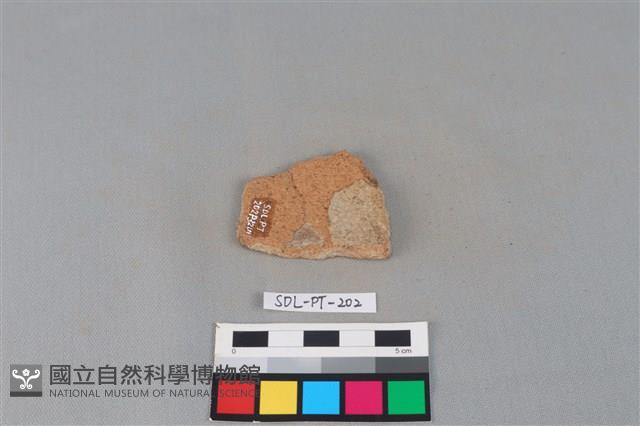 陶片藏品圖，第2張