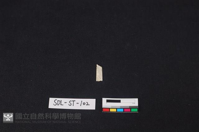 玉飾藏品圖，第2張