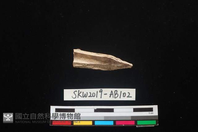 獸骨藏品圖，第2張