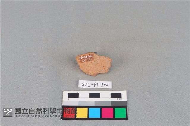 陶片藏品圖，第2張