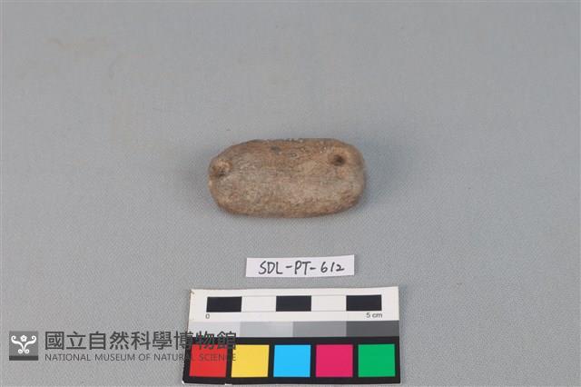 陶網墜藏品圖，第2張