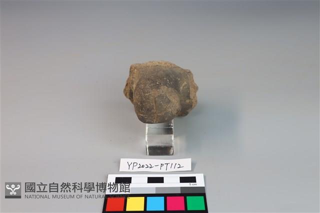 碗/淺盤型陶蓋藏品圖，第2張