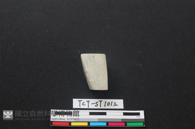 錛鑿形器藏品圖，第2張