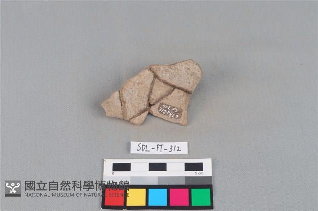 陶片藏品圖，第2張