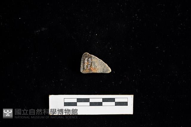 陶片藏品圖，第2張