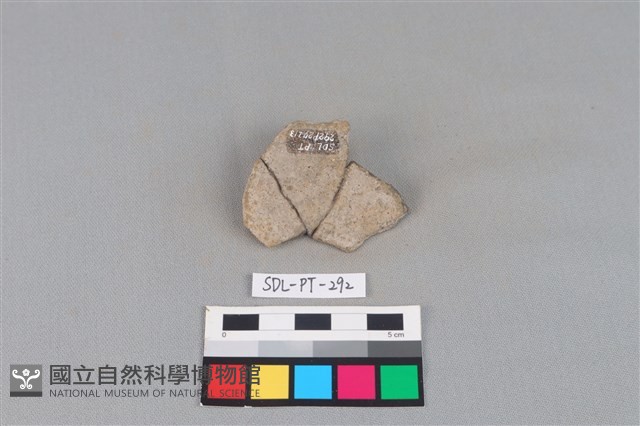 陶片藏品圖，第2張