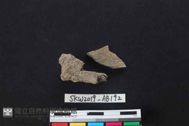 獸骨藏品圖，第2張