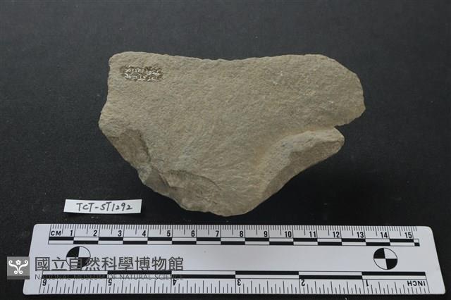 石片器藏品圖，第2張