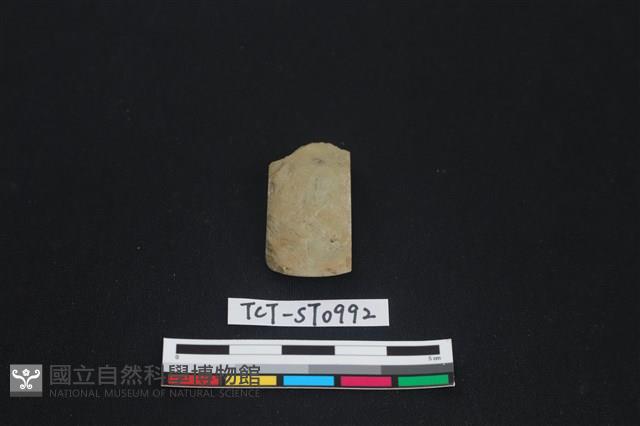 錛鑿形器藏品圖，第2張