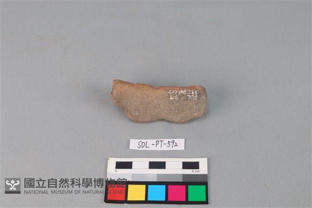 陶網墜藏品圖，第2張