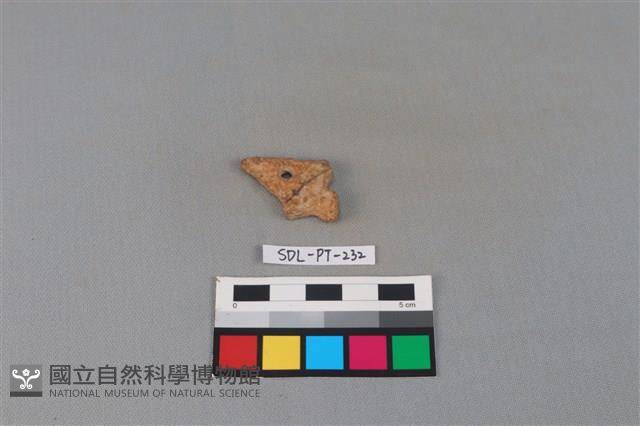 陶片藏品圖，第2張