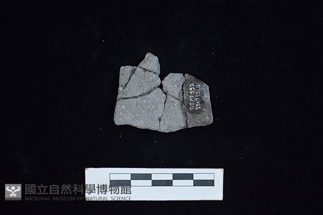 陶片藏品圖，第2張