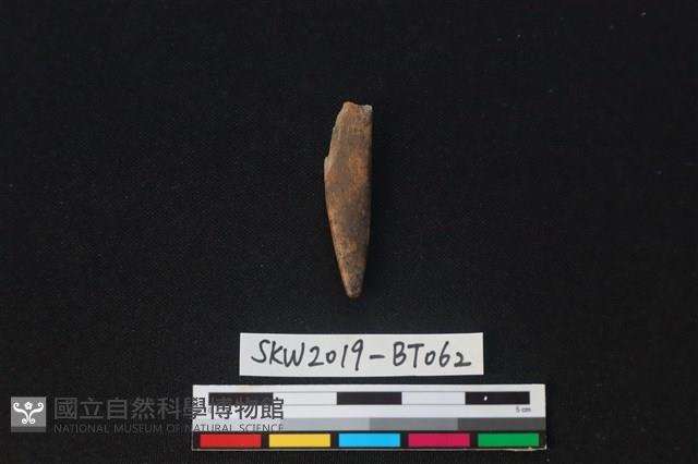 尖狀器藏品圖，第2張