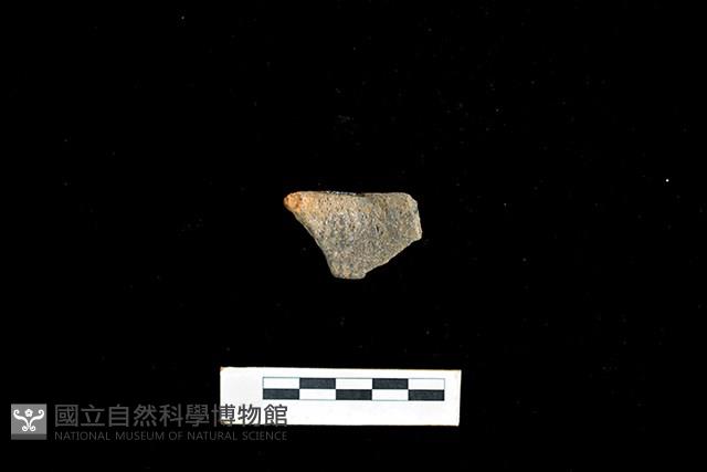 陶罐藏品圖，第2張