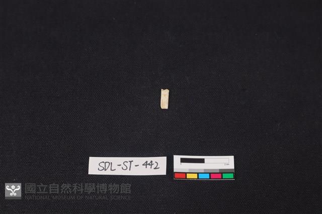 玉飾藏品圖，第2張