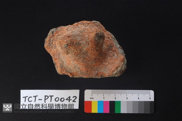陶蓋鈕藏品圖，第2張