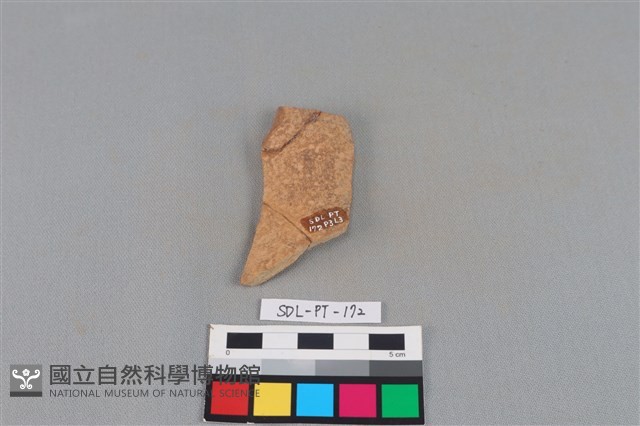 連杯形器藏品圖，第2張