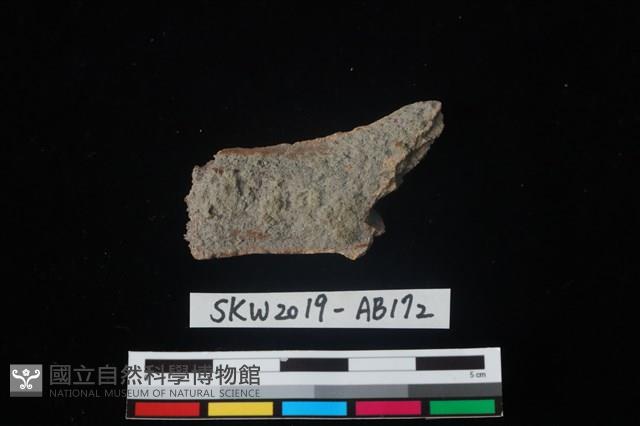 獸骨藏品圖，第2張